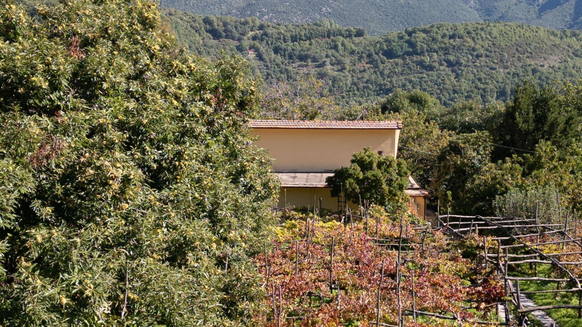 Casa Giordano Vila Tramonti Exterior foto